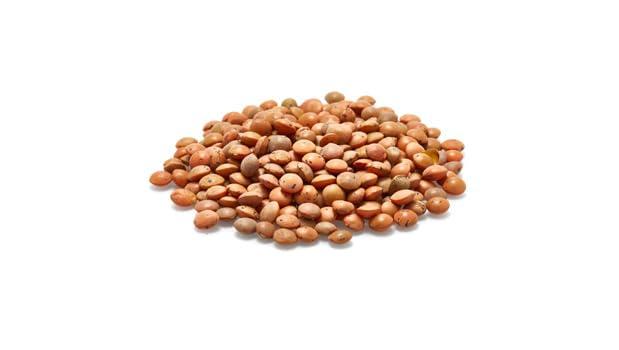 Yupik Organic Brown Lentils, 2.2 lb (35.2 oz), Non-GMO, Vegan, Gluten-Free, Kosher, Raw, Salt-Free, High in Fiber & Protein, Ideal for Soups, Salads & Meat Alternatives - Image 4