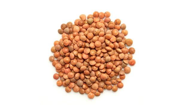 Yupik Organic Brown Lentils, 2.2 lb (35.2 oz), Non-GMO, Vegan, Gluten-Free, Kosher, Raw, Salt-Free, High in Fiber & Protein, Ideal for Soups, Salads & Meat Alternatives - Image 3