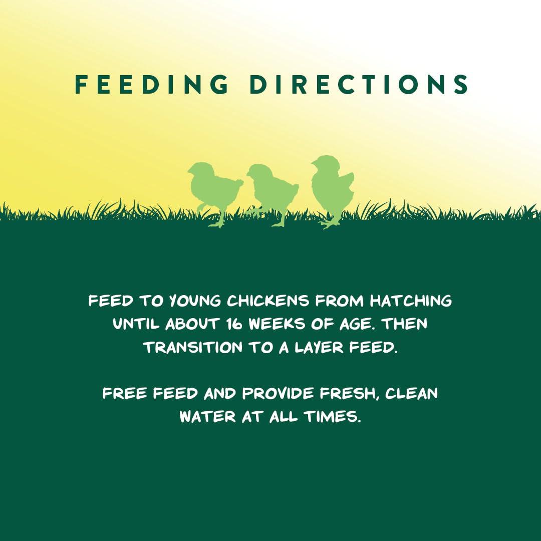 Manna Pro Medicated Chick Starter Grower Feed – High Protein Crumbles with Amprolium for Coccidiosis Prevention – Complete Chicken Feed for Baby Chicks and Pullets – For Healthy Growth – 5 lb Bag - Image 7