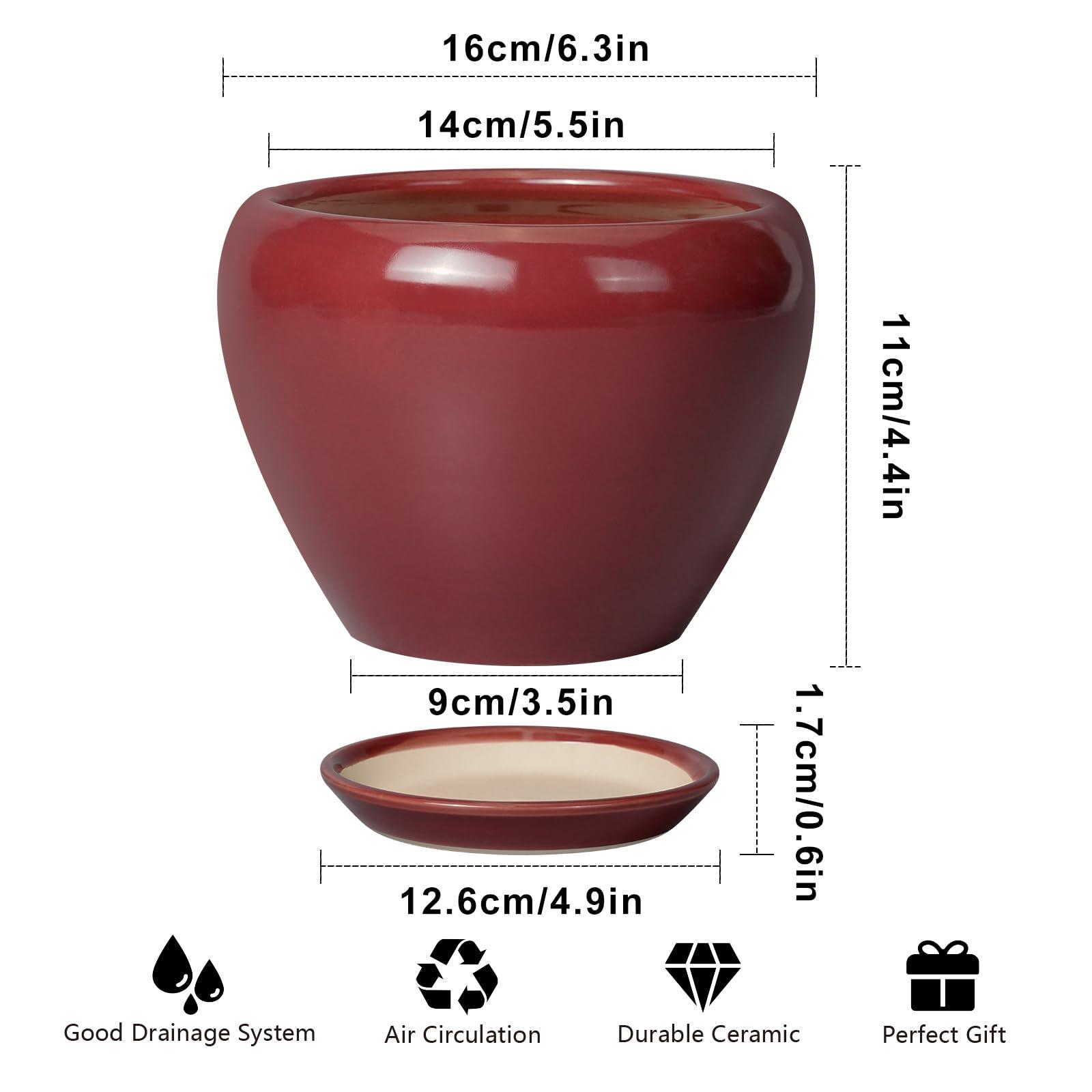 Ceramicfor Ceramic Pot for Plants - 6 Inch Plant Pot Indoor with Drainage Hole and Saucer Succulent Outdoor Planter Round Flower Pot for House Patio Decor Red - Image 3