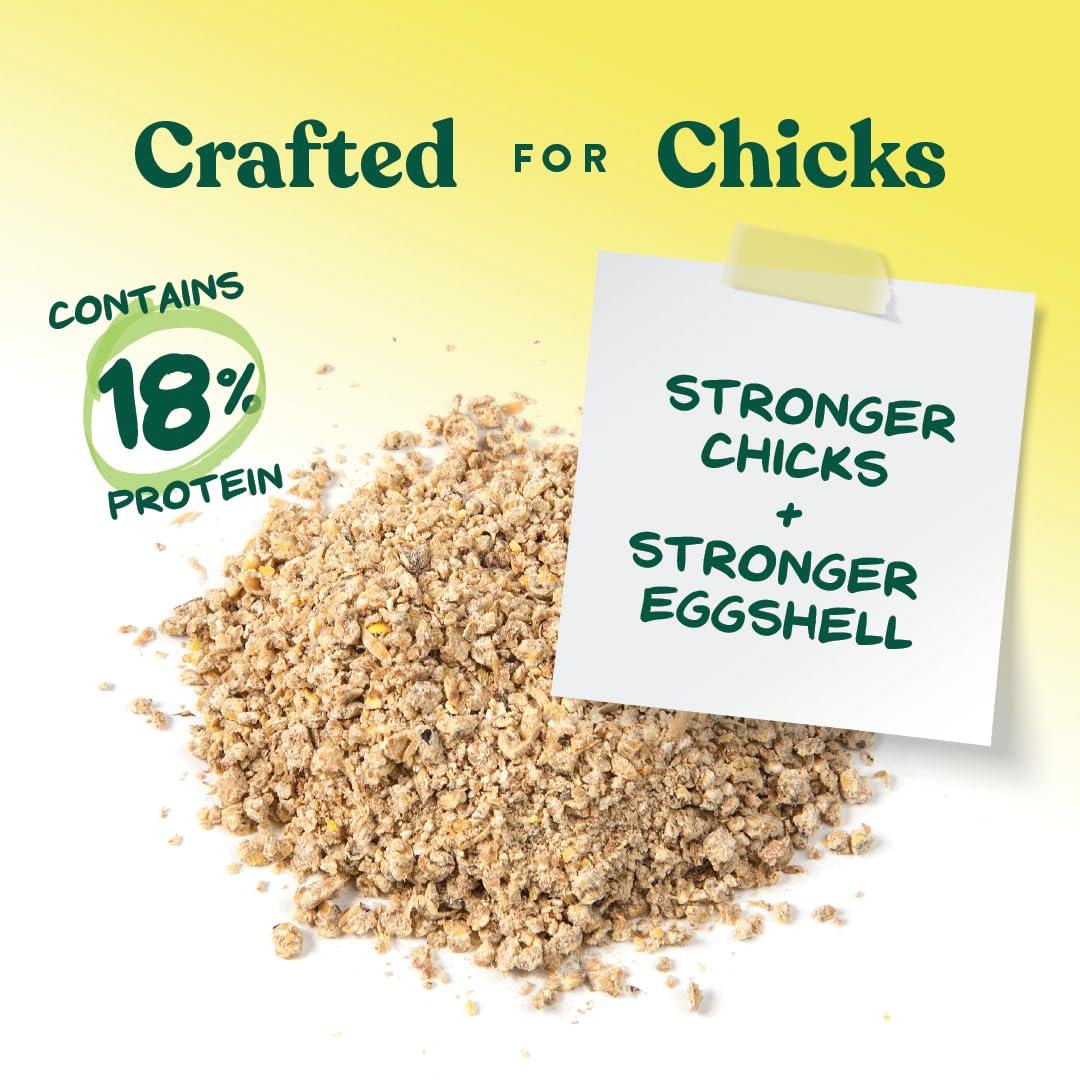 Manna Pro Medicated Chick Starter Grower Feed – High Protein Crumbles with Amprolium for Coccidiosis Prevention – Complete Chicken Feed for Baby Chicks and Pullets – For Healthy Growth – 5 lb Bag - Image 4