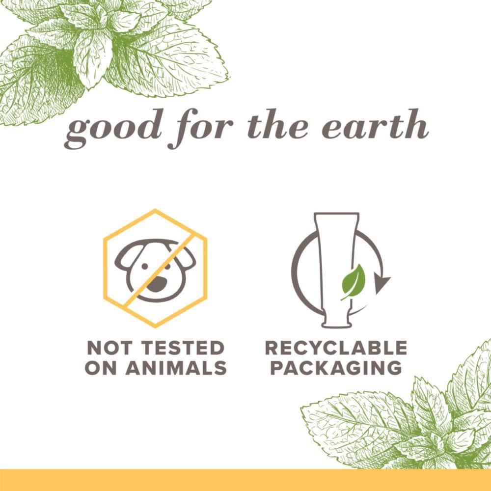 Burt's Bees Toothpaste, Natural Flavor, Fluoride-Free, Purely White, Zen Peppermint, 4.7 oz, Pack of 3 - Image 2