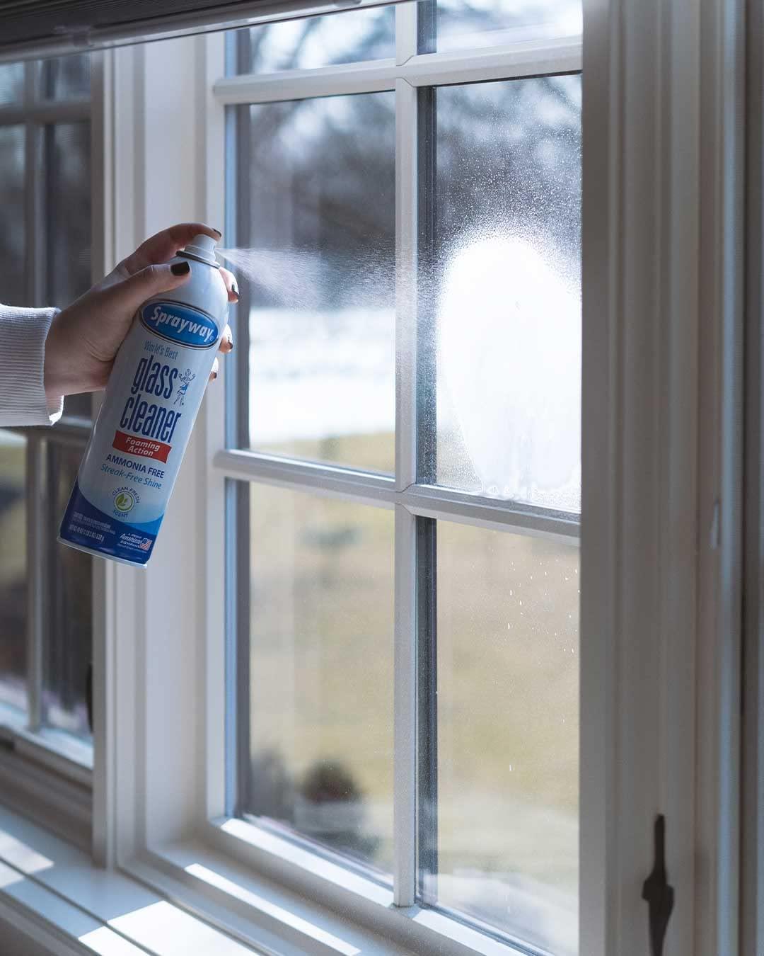 Sprayway Glass Cleaner with Foaming Spray for a Streak-Free Shine for Home and Automotive Use, 19 oz., Pack of 12 - Image 5