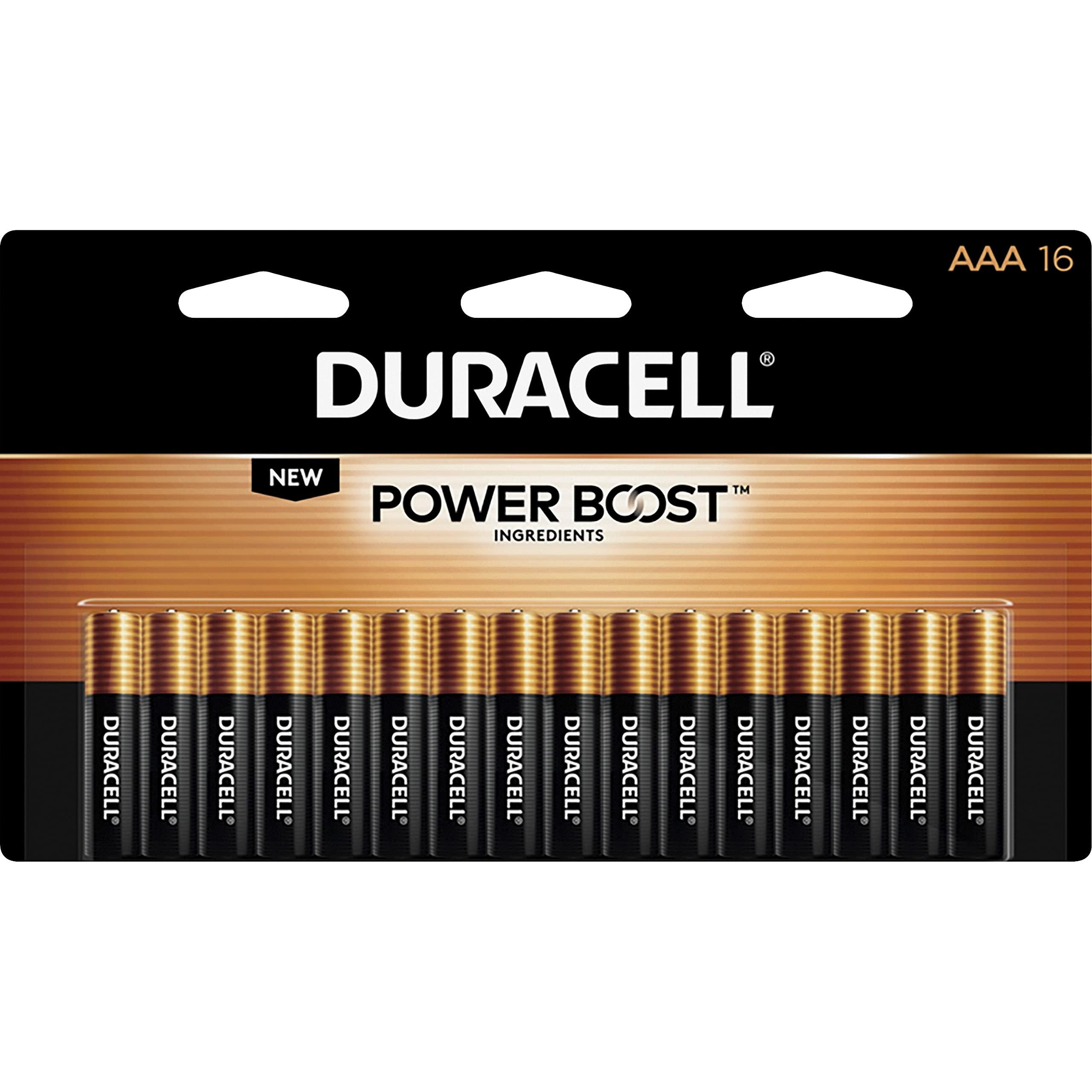 Duracell - CopperTop Alkaline Batteries with Duralock Power Preserve Technology, AAA, 16/Pk MN2400B16Z (DMi PK