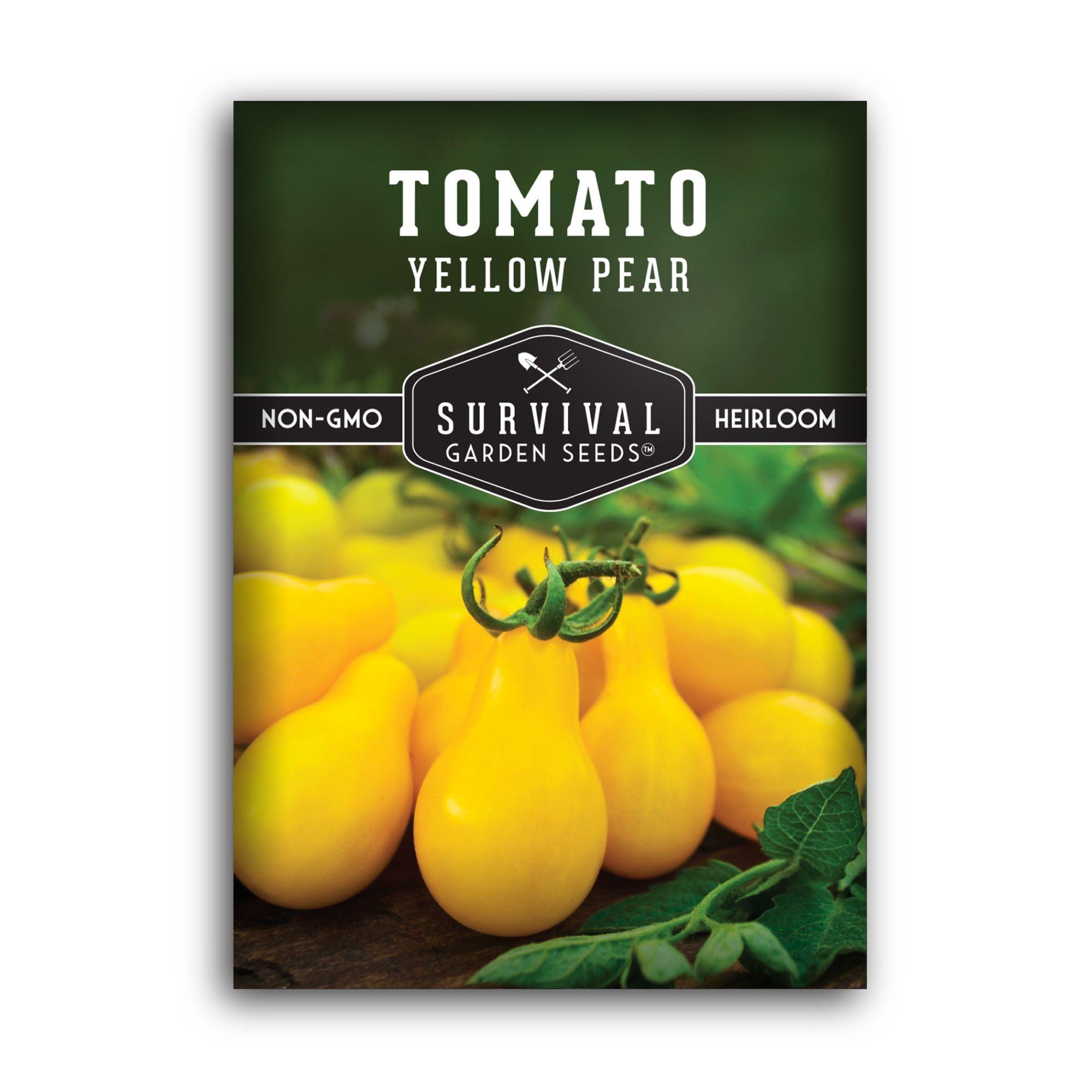 1 Pack Yellow Pear Tomato Seed for Planting - Packet with Instructions to Grow Golden Tomatoes in Your Home Vegetable Garden - Non-GMO Heirloom Variety - Survival Garden Seeds