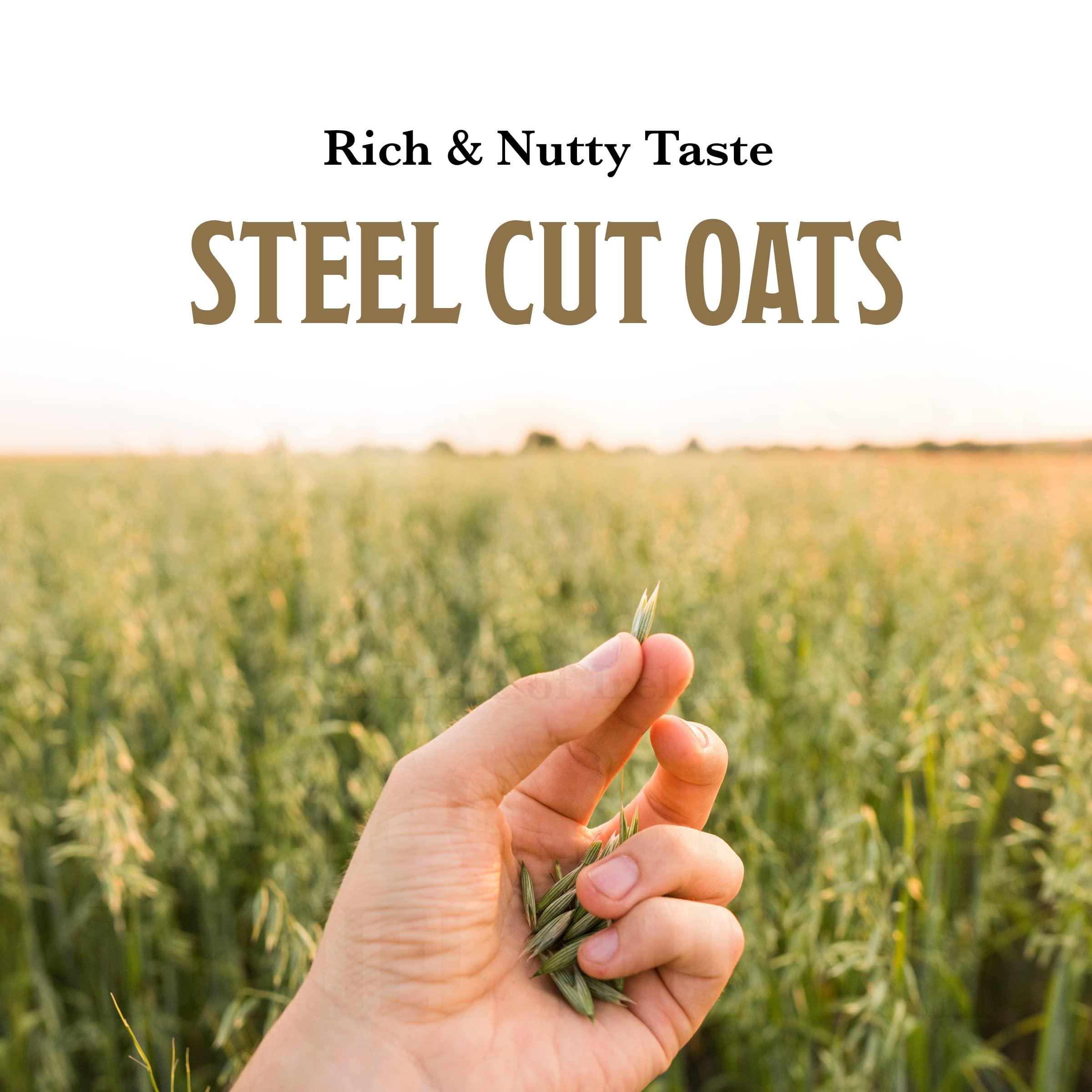 McCann's Irish Oatmeal, Traditional Steel Cut, 28 Ounce (Pack of 6) - Image 7