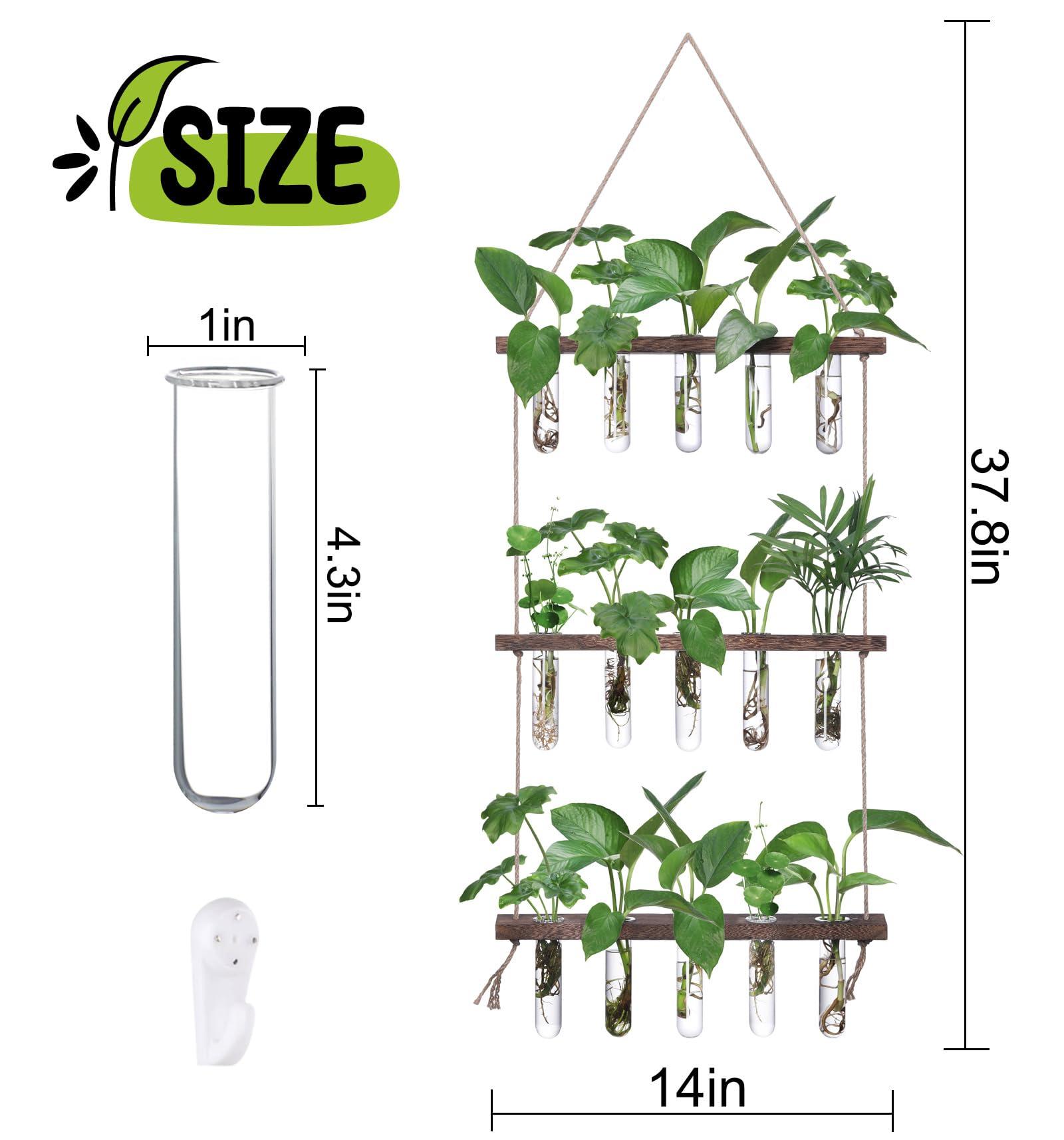 XXXFLOWER Wall Hanging Propagation Station with Wooden Stand 5 Glass Test Tubes 3 Tiered Planters Wall Terrarium for Home Office Plant Hanger Flower Vases Wall Decor Hydroponic Cuttings - Image 3