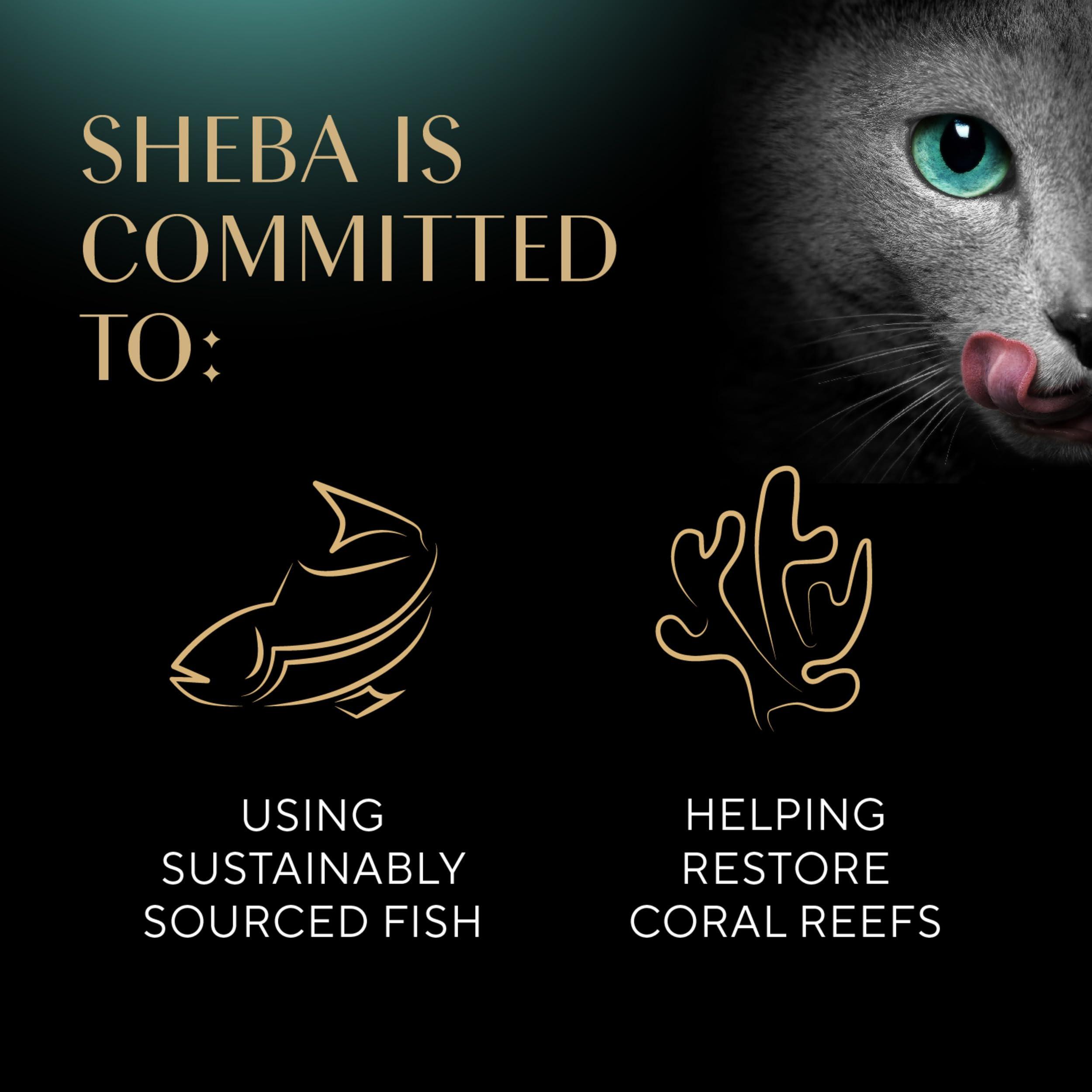 Sheba Perfect Portions Wet Cat Food Cuts in Gravy Variety Pack, Roasted Chicken Entree, with Sustainable Salmon, and Tender Turkey Entree, 2.6 oz. Twin-Pack Trays (24 Count, 48 Servings) - Image 7