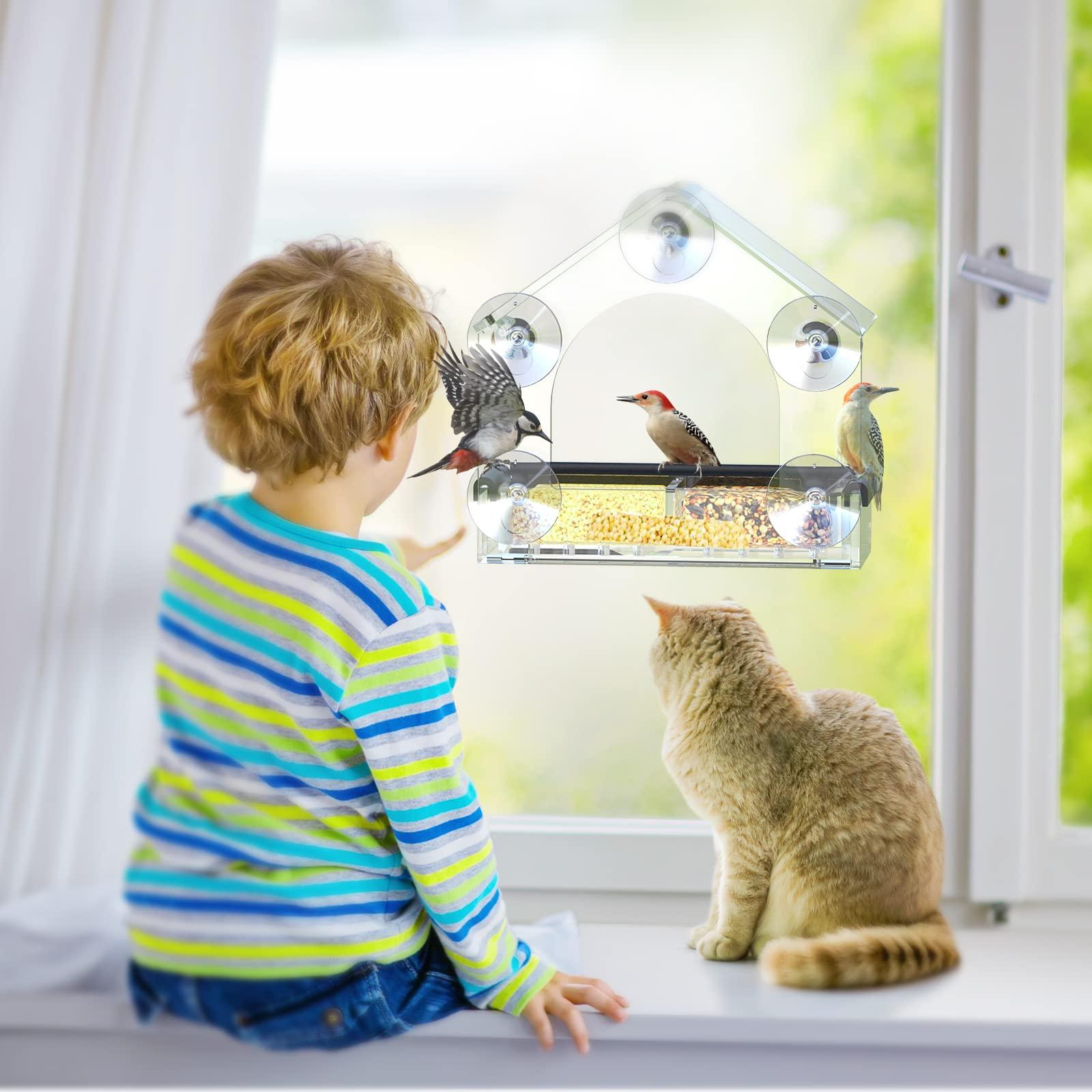 Clear Window Bird Feeder with 5 Extra Strong Suction Cups, DY-SKTY Sturdy and Durable Acrylic Birdfeeders for Viewing Wild Birds Outside, as a Bird Watching Gift, Outdoor Birdhouse Box, Garden Decor - Image 2