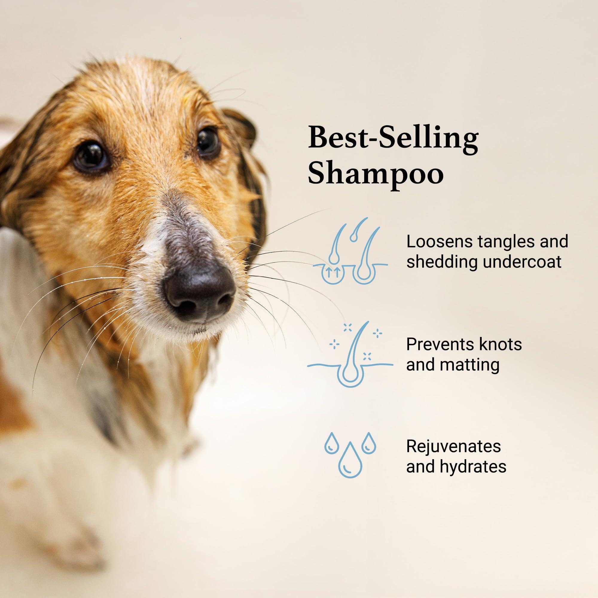 iGroom Deshedding & Detangling Dog Shampoo, Luxury Pet Beauty Care, Loosen Tangles + Unwanted Undercoat, Adds Shine + Volume, Made in USA (1 GAL) - Image 3