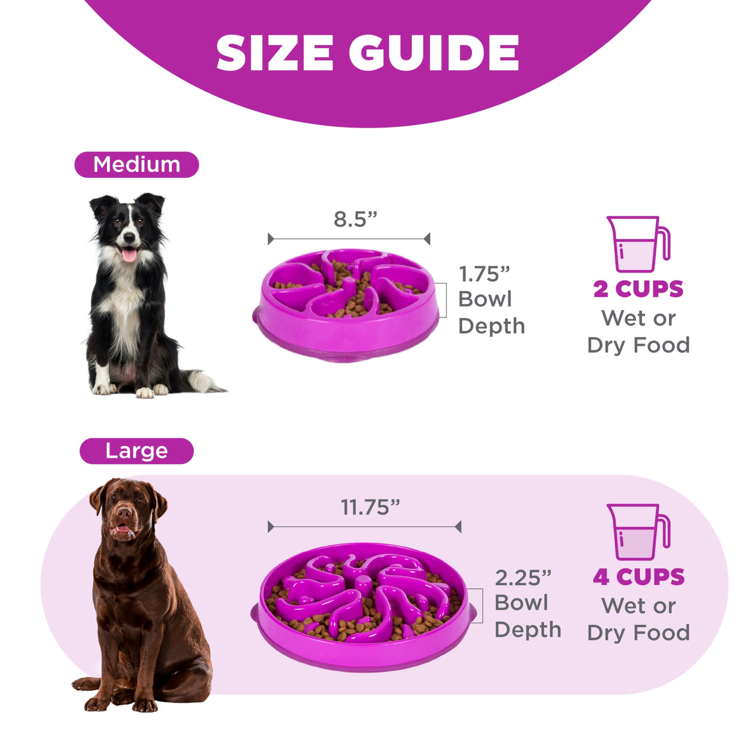 Outward Hound Fun Feeder Slo Bowl, Large Slow Feeder Dog Bowl, 4 Cups, Purple - Image 5