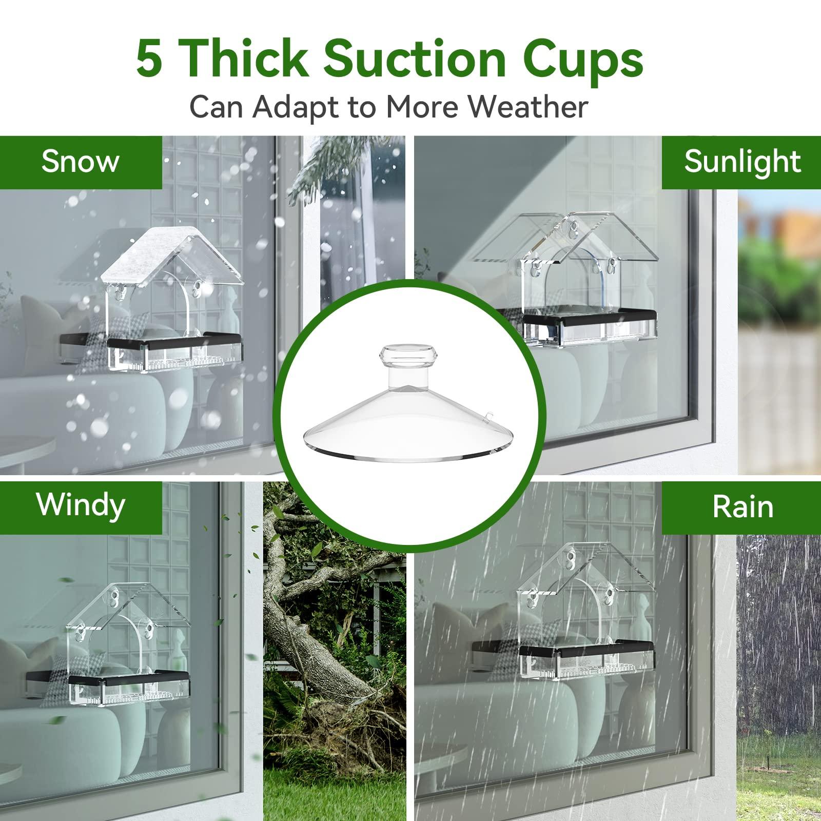 Clear Window Bird Feeder with 5 Extra Strong Suction Cups, DY-SKTY Sturdy and Durable Acrylic Birdfeeders for Viewing Wild Birds Outside, as a Bird Watching Gift, Outdoor Birdhouse Box, Garden Decor - Image 4