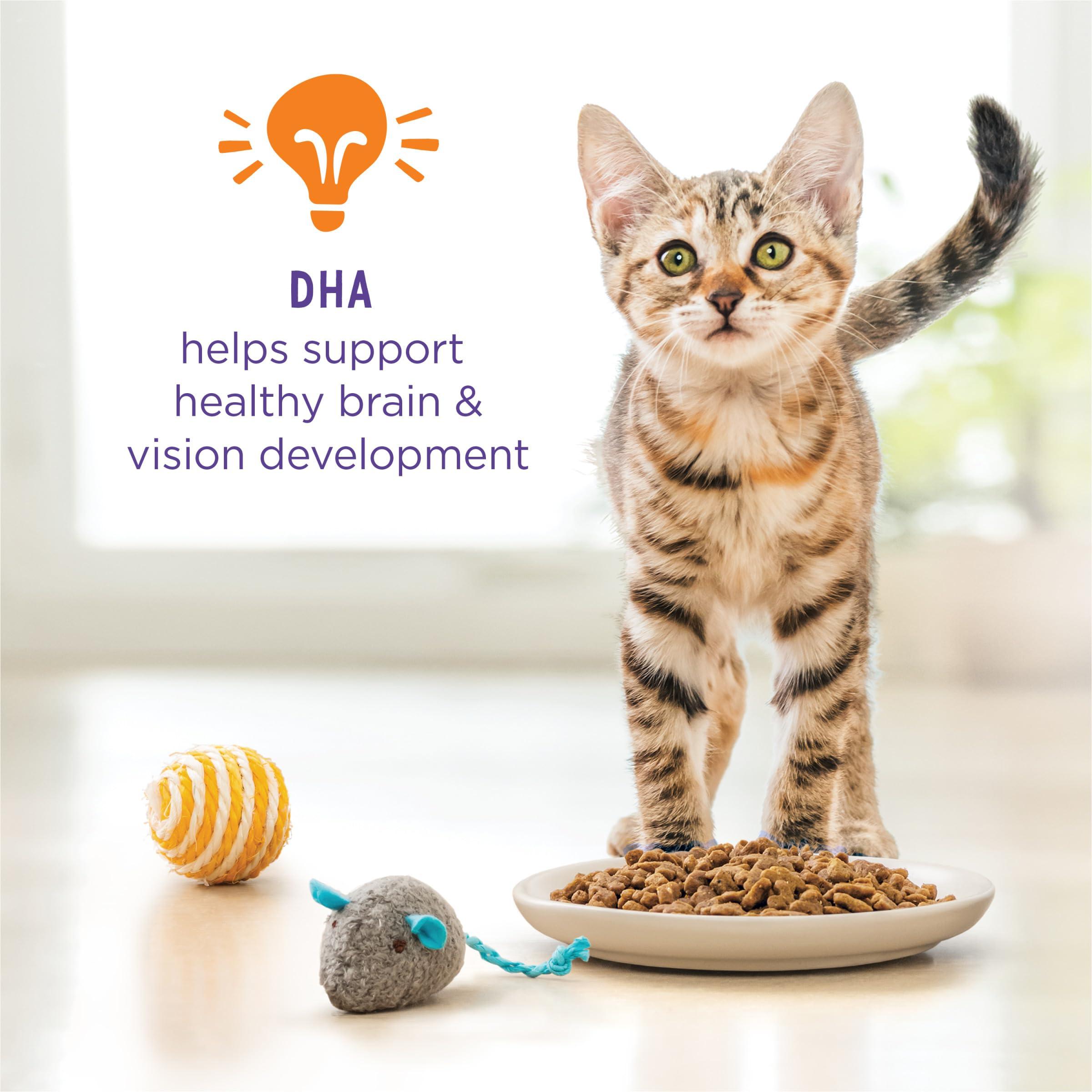 Purina Kitten Chow 14lb - Image 4