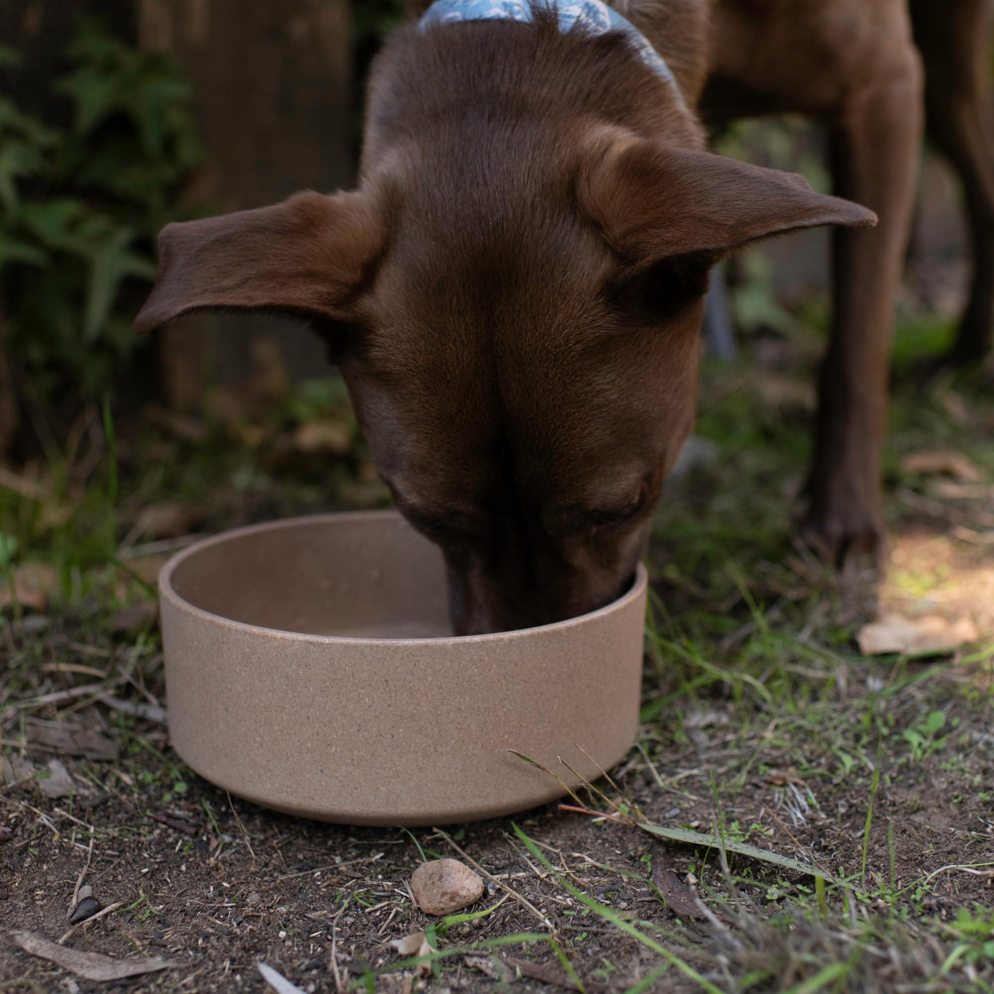 Loving Pets - Dolce Bamboo - Eco-Friendly Pet Bowls & Dishes for Dog, Cats, Puppy Food and Water Dish -Sustainable and Dishwasher Safe, Made with Real Bamboo (Medium, Oat-Beige) - Image 7