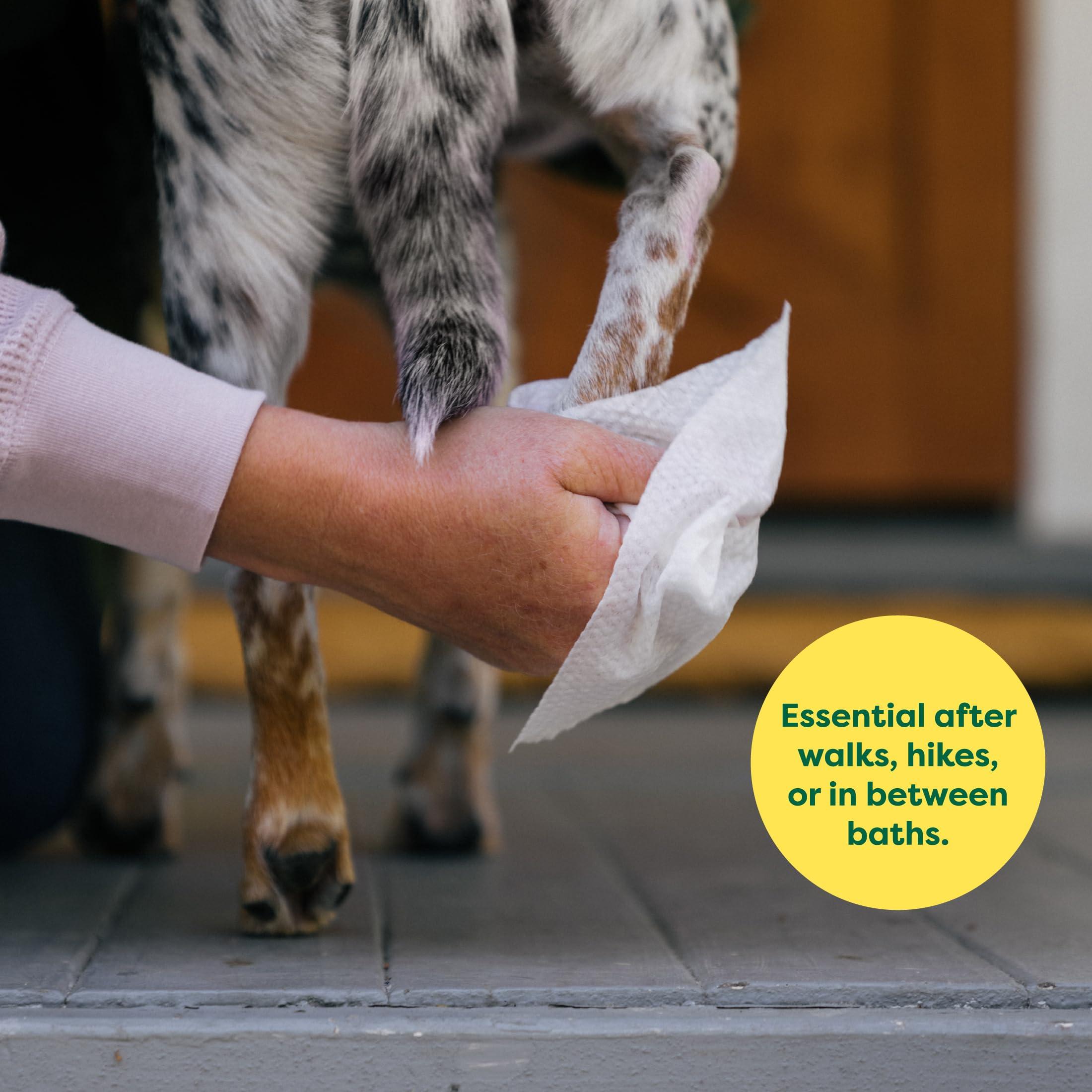 Earth Rated Pet Wipes for Dogs and Cats, Hypoallergenic, Cleaning and Hydrating, for Grooming Paws, Body and Butt, Unscented, 100 Count - Image 3