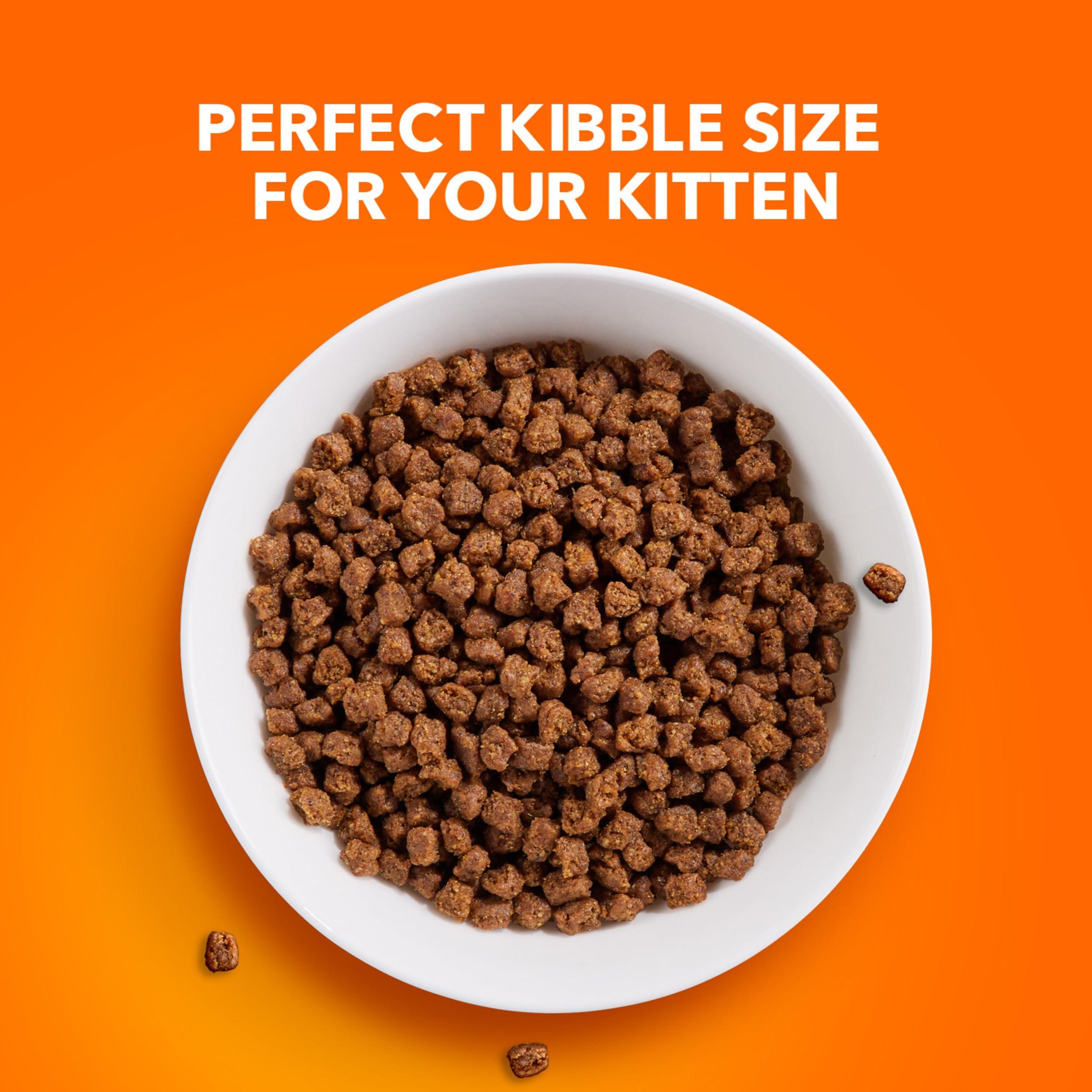 IAMS Proactive Health Healthy Kitten Dry Cat Food with Chicken, 7 lb. Bag - Image 8