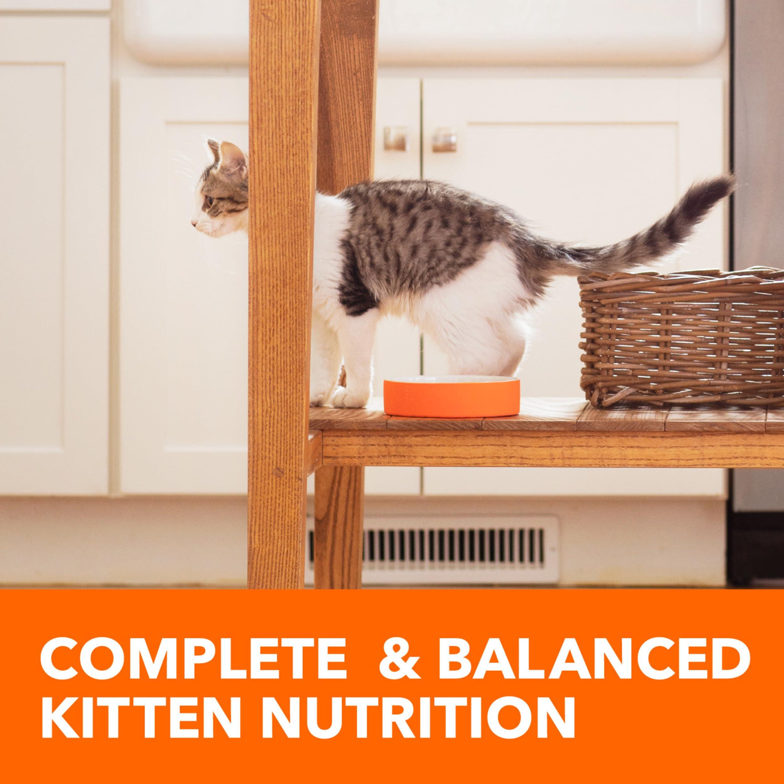 IAMS Proactive Health Healthy Kitten Dry Cat Food with Chicken, 7 lb. Bag - Image 10