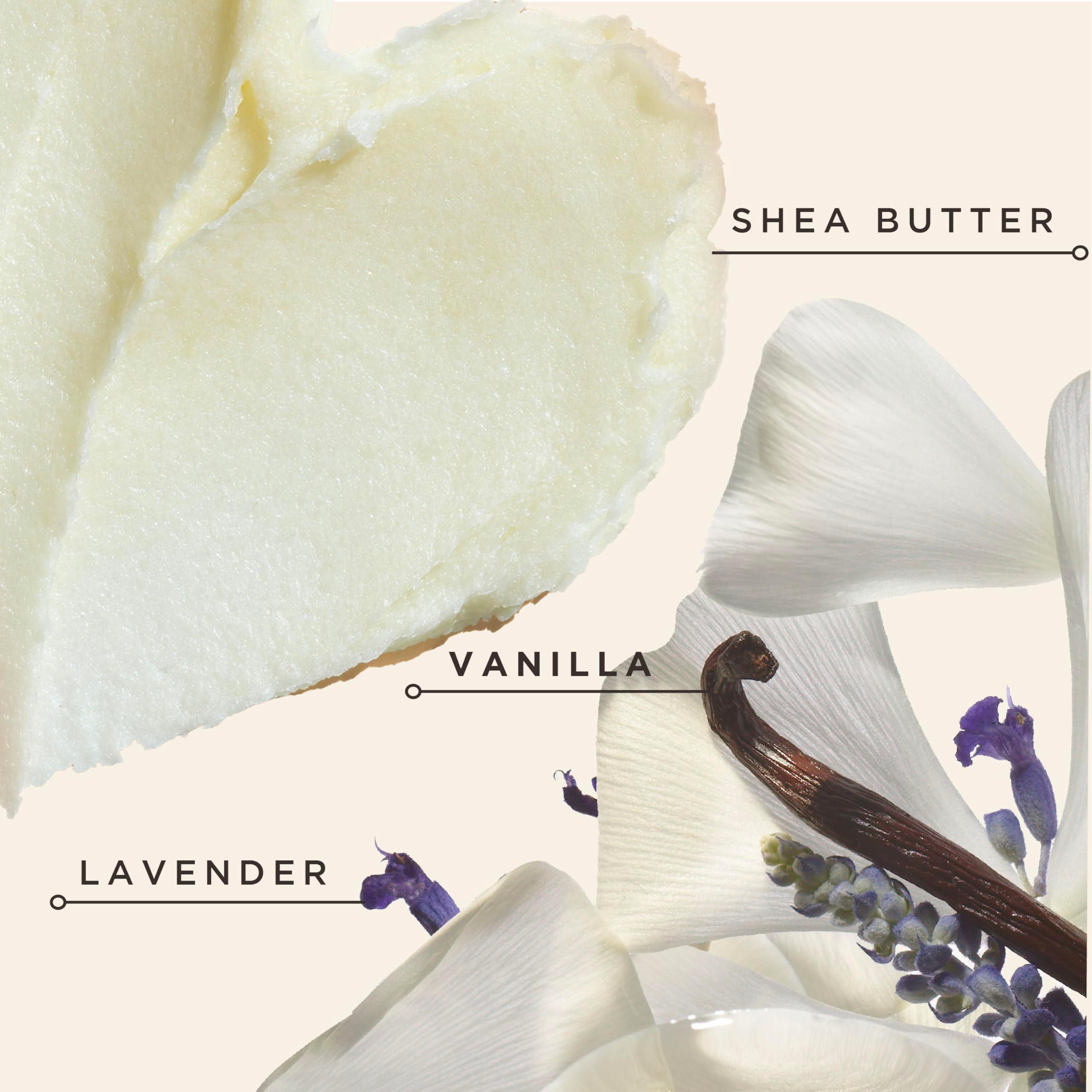 Carol's Daughter Black Vanilla Moisture Sulfate Free Conditioner for Curly, Wavy or Natural Hair, Moisturizing Hair Care for Dry, Damaged Hair, 12 Fl Oz - Image 5