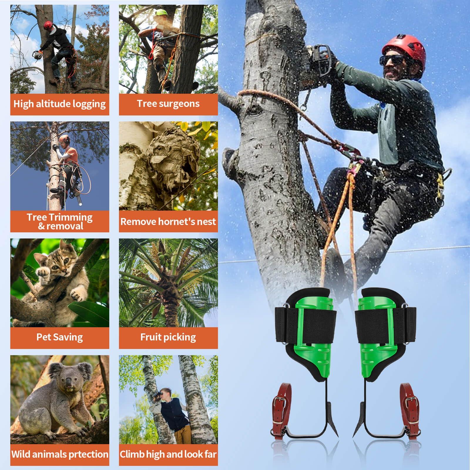 Rohseson Tree Climbing Spikes, Height Adjustable Tree Climbing Gear with Non-Slip Pedal, Upgraded Tree Climbing gaffs with Soft Padding for Logging, Tree Trimming,Tree surgen,Hunting - Image 5