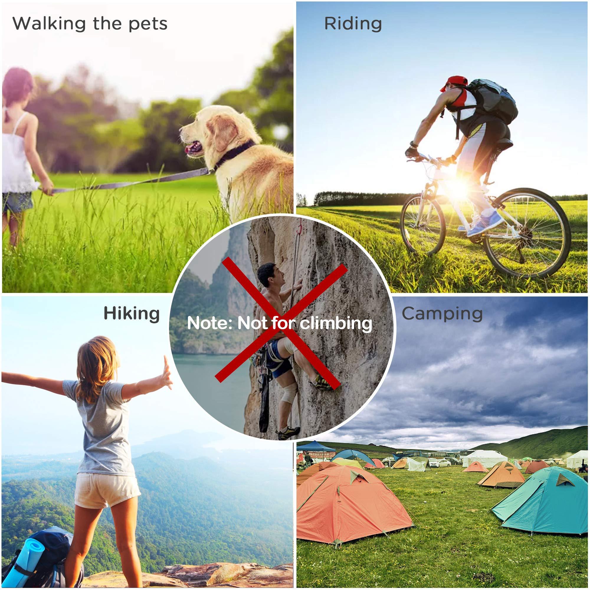 Zalava 6pcs 2”D-Clip Durable Locking Carabiner Keychain Clip with Hook - Image 7