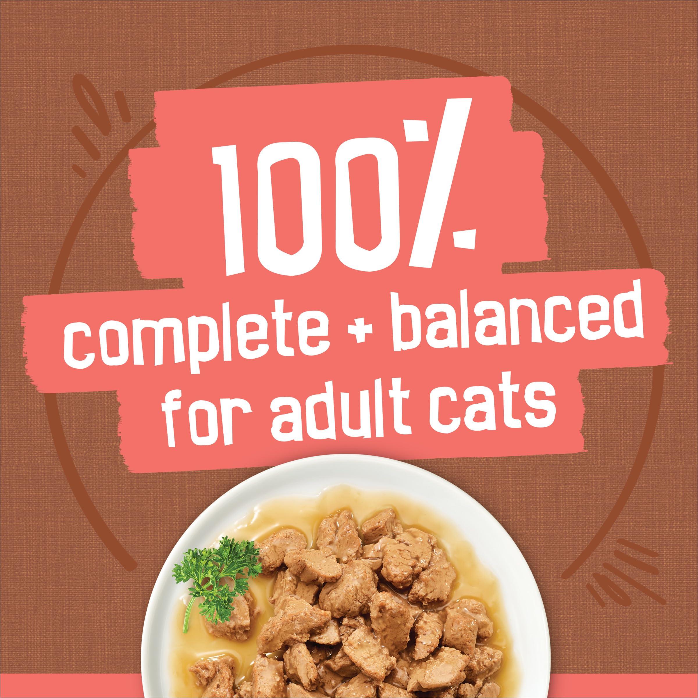 Purina Friskies Extra Gravy Wet Cat Food Chunky 24ct Variety Pack (With Chicken, Turkey, Salmon, Beef) - (Pack of 24) 5.5 oz. Cans - Image 4