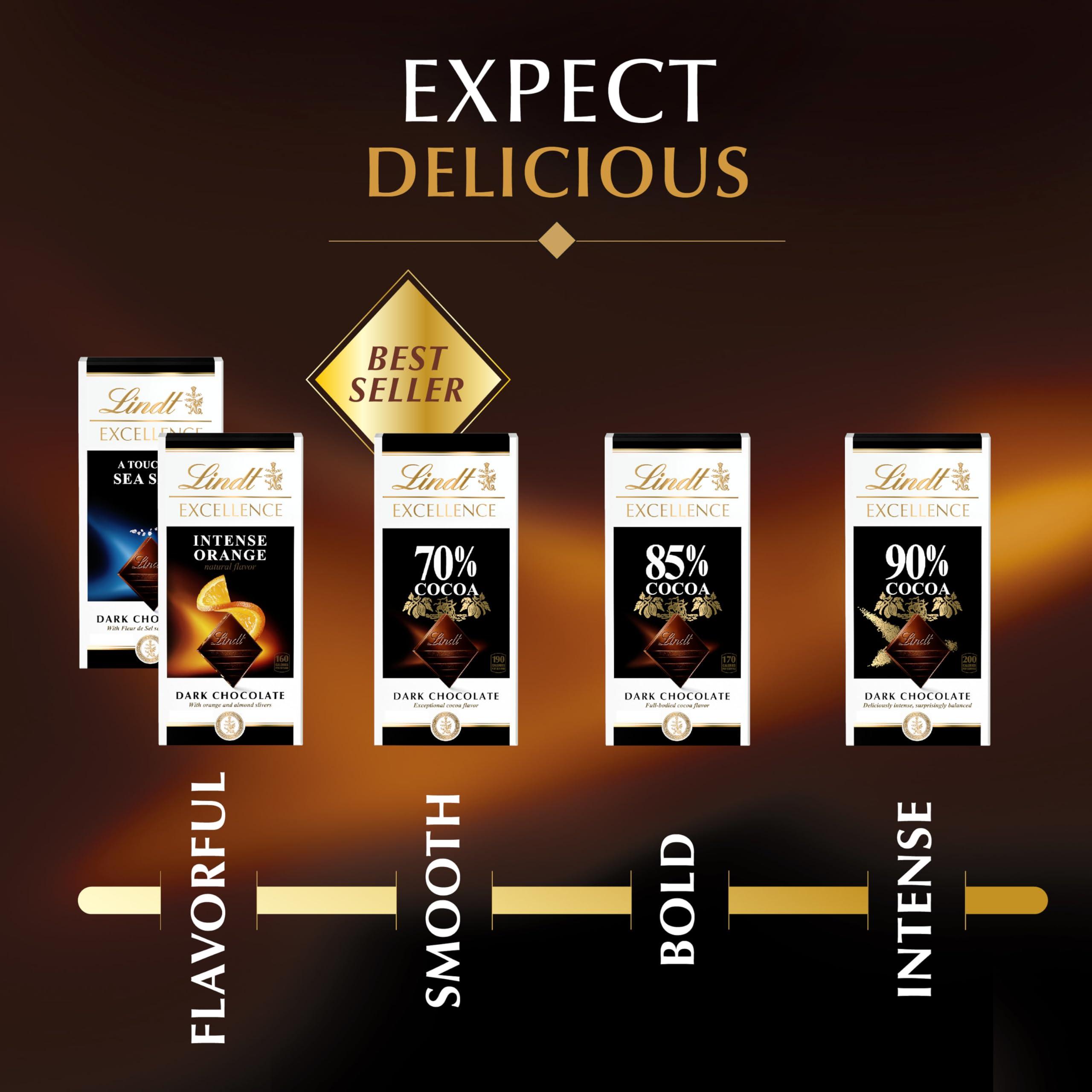 Lindt EXCELLENCE Sea Salt Dark Chocolate Bar, Dark Chocolate Candy with a Touch of Sea Salt, 3.5 oz. Bar (12 Pack) - Image 6
