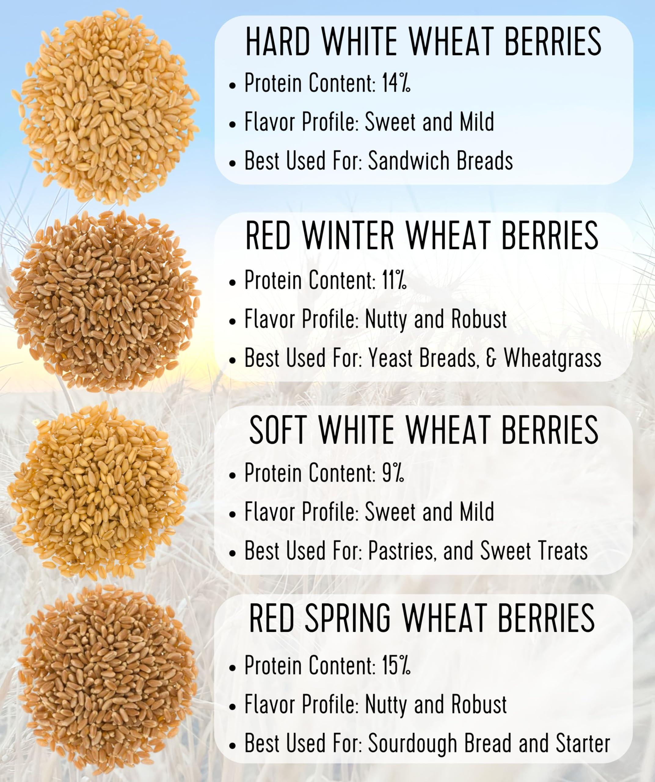 Certified Glyphosate Residue Free Hard Red Winter Wheat Berries | 5 LBS | Family Farmed in Washington State | Non-GMO Project Verified | 100% Non-Irradiated | Certified Kosher Parve | Field Traced | Burlap Bag - Image 8