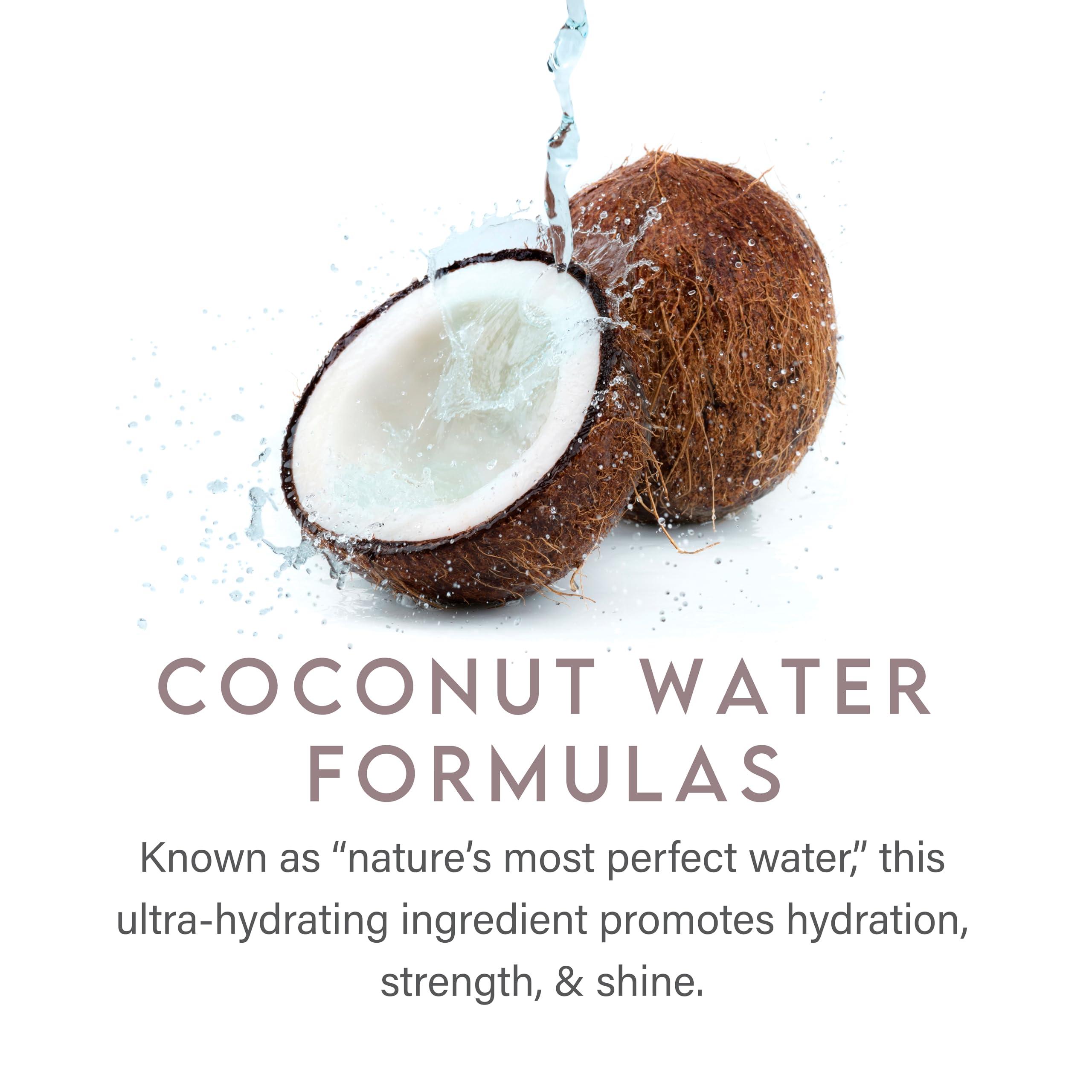 ALURAM Coconut Water Purple Shampoo for Women, Boosts Brightness, Banishes Brass, for All Hair Types - Image 4
