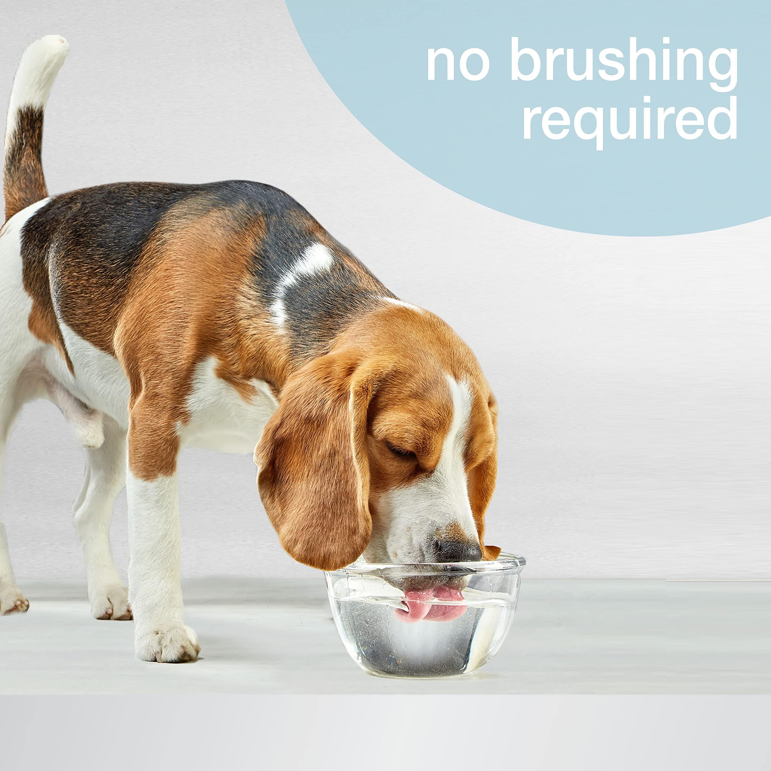 Nylabone Advanced Oral Care Pet Dental Water Additive, Liquid Tartar Remover & Breath Freshener for Dogs, Dog Teeth-Cleaning, Original Flavor, 32 oz. - Image 2
