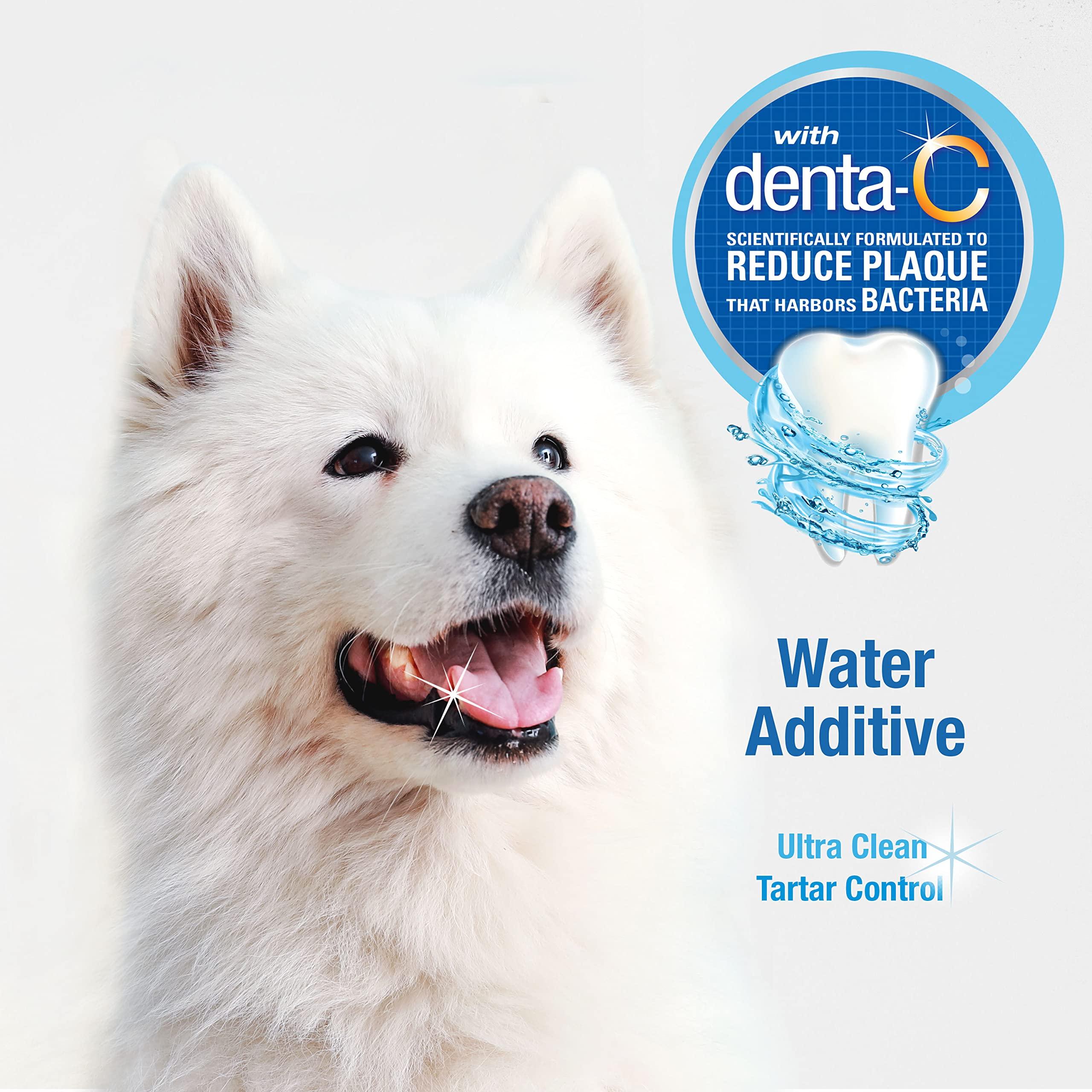 Nylabone Advanced Oral Care Pet Dental Water Additive, Liquid Tartar Remover & Breath Freshener for Dogs, Dog Teeth-Cleaning, Original Flavor, 32 oz. - Image 4