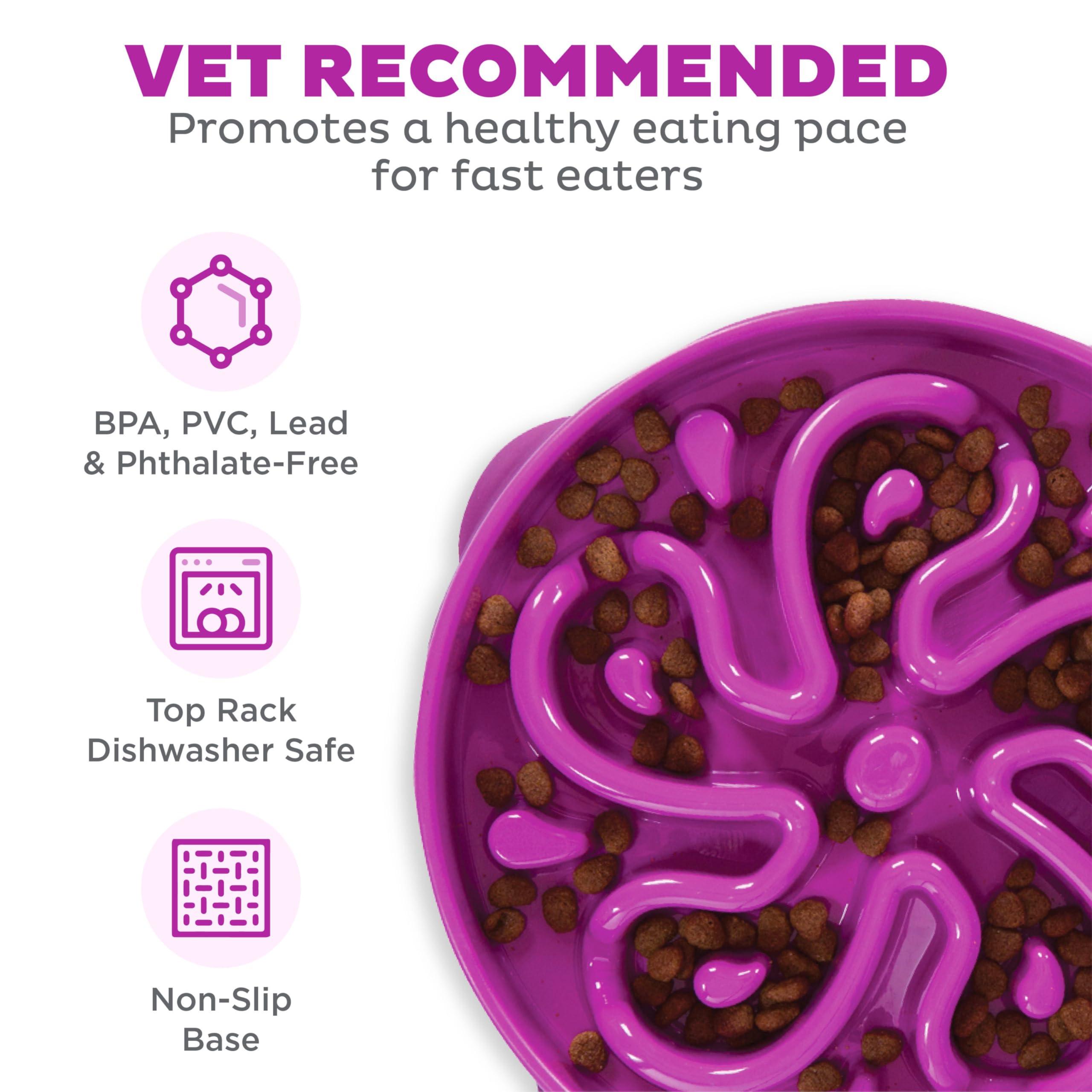 Outward Hound Fun Feeder Slo Bowl, Large Slow Feeder Dog Bowl, 4 Cups, Purple - Image 3