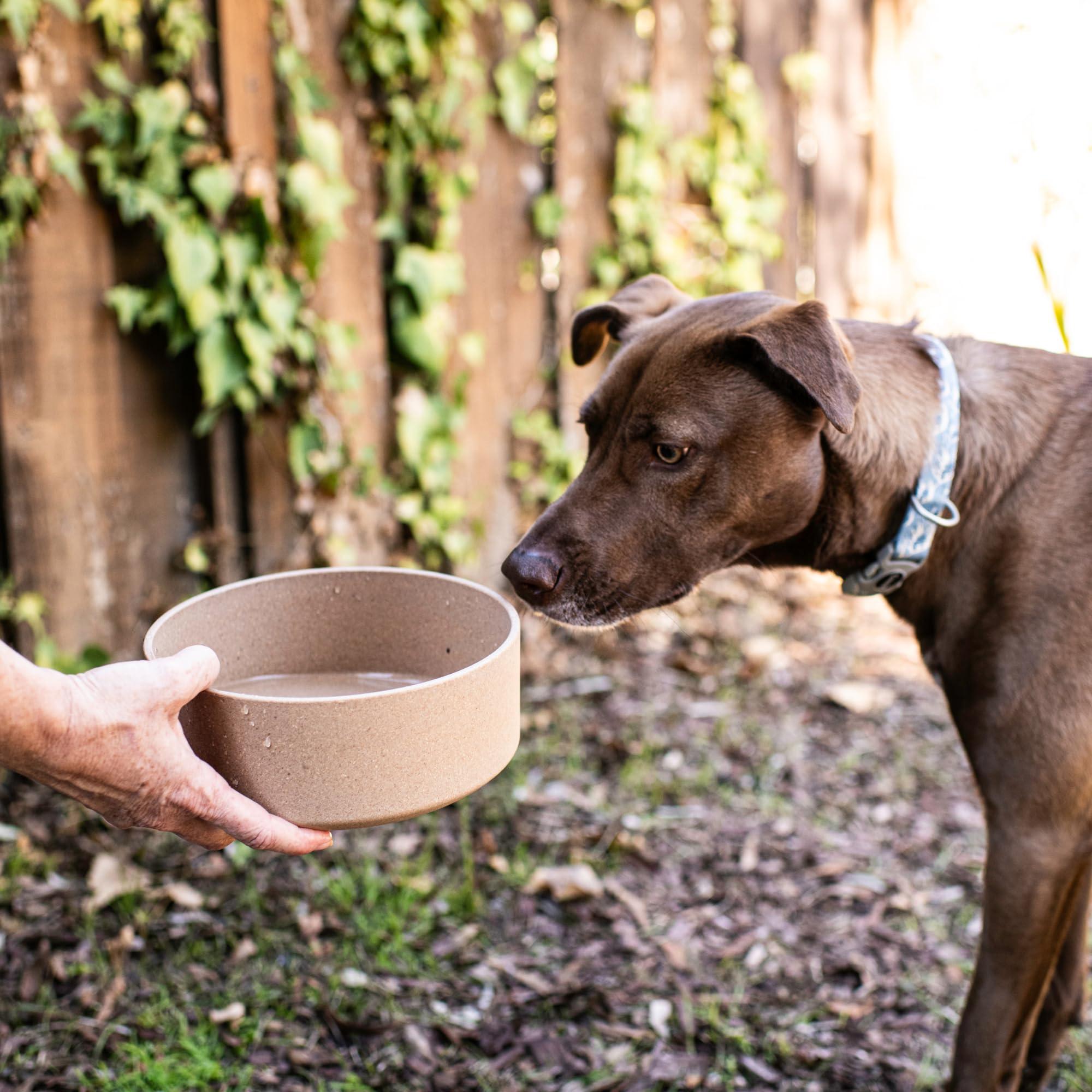 Loving Pets - Dolce Bamboo - Eco-Friendly Pet Bowls & Dishes for Dog, Cats, Puppy Food and Water Dish -Sustainable and Dishwasher Safe, Made with Real Bamboo (Medium, Oat-Beige) - Image 5