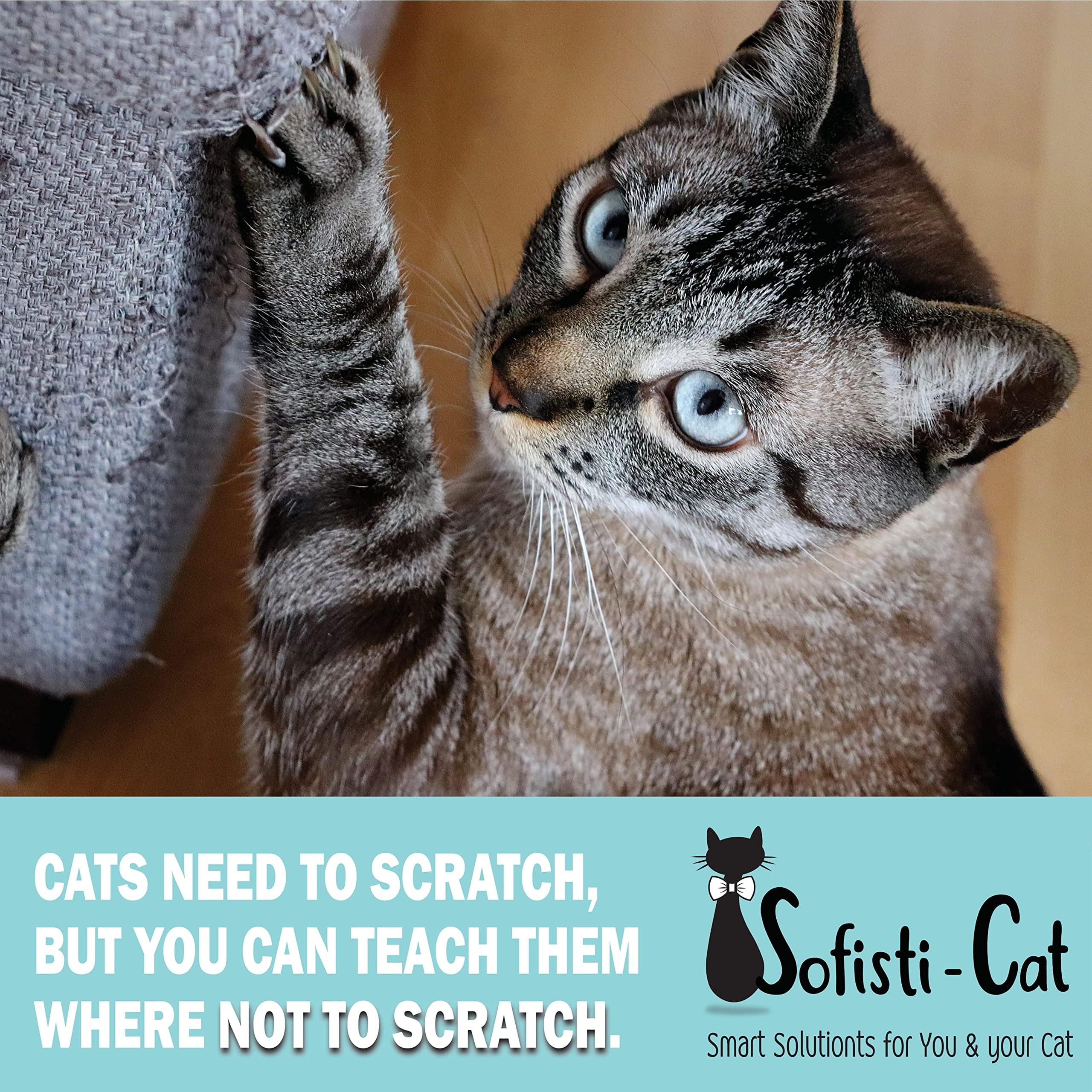 Sofisti-Cat Training Tape, Cat Tape for Furniture, Scratch Deterrent Keep Cats from Scratching Furniture with Our Double -Sided Repellent, 2.5" x 15' Roll - Image 3